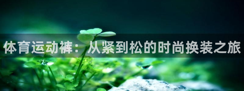 678体育app：体育运动裤：从紧到松的时尚换装之旅