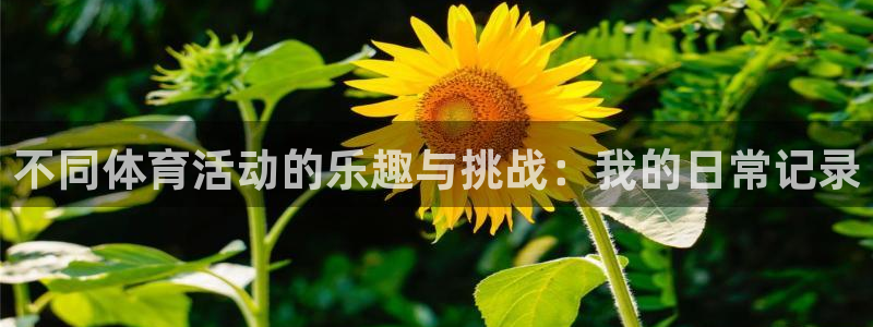 678体育app：不同体育活动的乐趣与挑战：我的日常记录