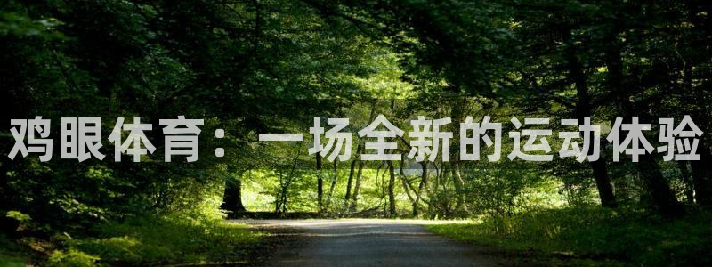 678体育：鸡眼体育：一场全新的运动体验