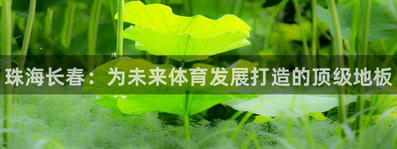 皇冠678体育：珠海长春：为未来体育发展打造的顶级地板