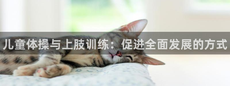 678体育官网地址：儿童体操与上肢训练：促进全面发展的方式