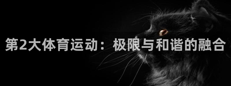 678体育知识：第2大体育运动：极限与和谐的融合