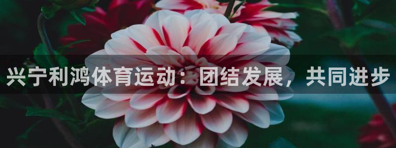 678体育官网：兴宁利鸿体育运动：团结发展，共同进步