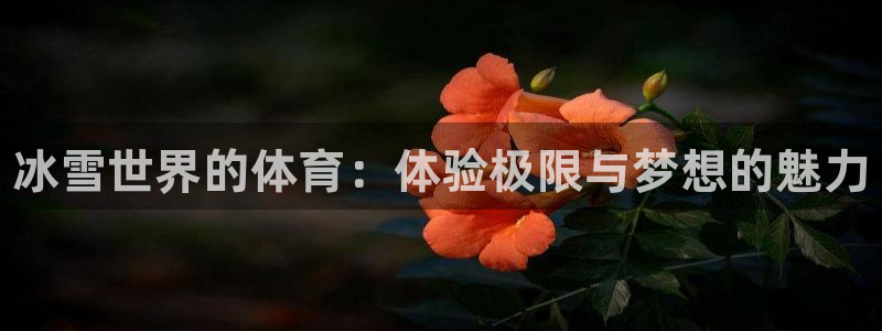 678体育：冰雪世界的体育：体验极限与梦想的魅力