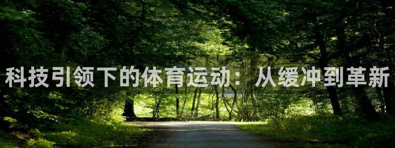678体育官网下载：科技引领下的体育运动：从缓冲到革新