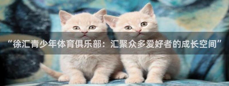 678体育app：“徐汇青少年体育俱乐部：汇聚众多爱好者的成长空间”