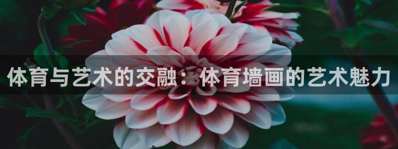 皇冠678体育：体育与艺术的交融：体育墙画的艺术魅力