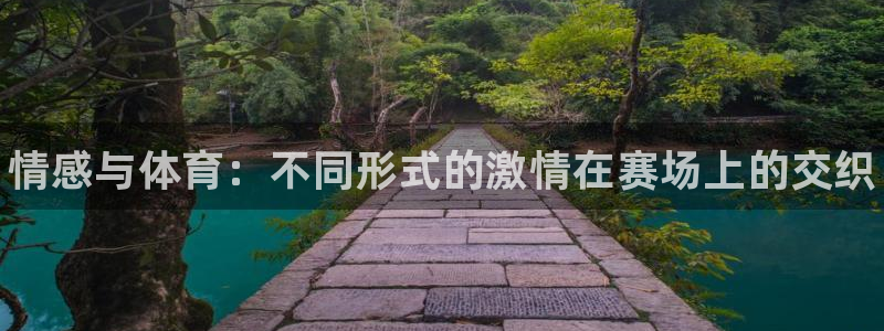 678体育app：情感与体育：不同形式的激情在赛场上的交织