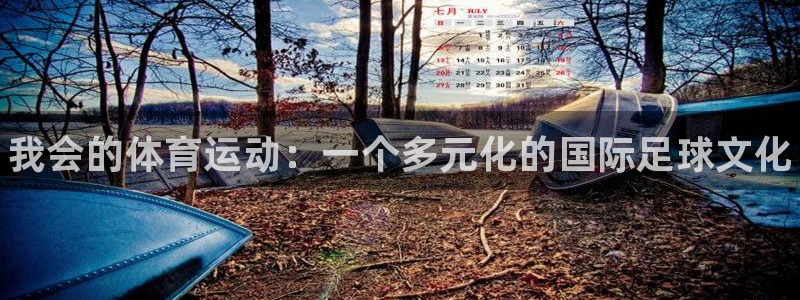 678体育官网地址：我会的体育运动：一个多元化的国际足球文化