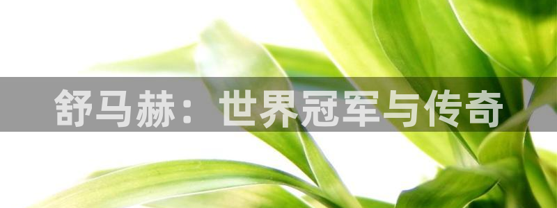 678体育知识：舒马赫：世界冠军与传奇
