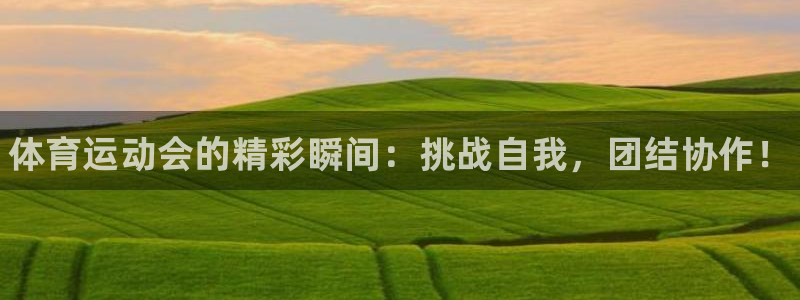678体育官网下载：体育运动会的精彩瞬间：挑战自我，团结协作！
