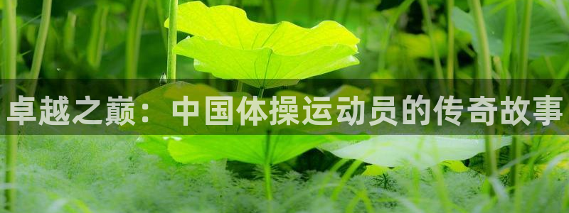 678体育知识：卓越之巅：中国体操运动员的传奇故事
