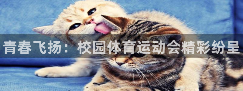 678体育官网：青春飞扬：校园体育运动会精彩纷呈
