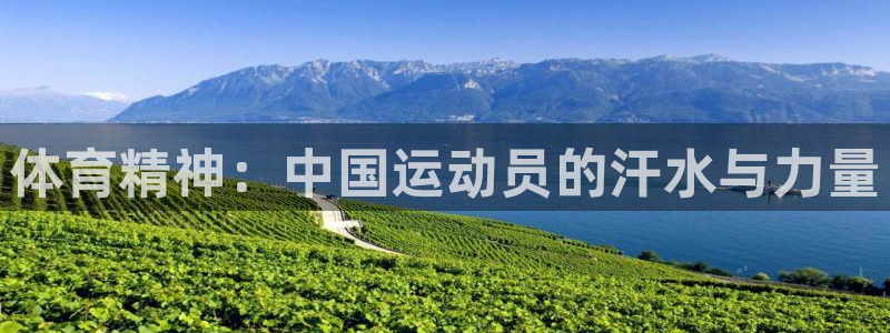 678体育官网：体育精神：中国运动员的汗水与力量