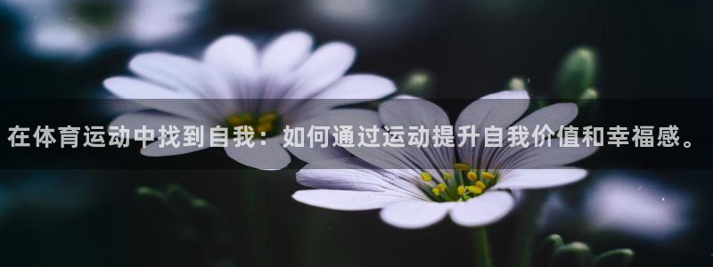 678体育知识：在体育运动中找到自我：如何通过运动提升自我价值和幸福感。