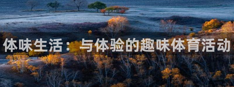 678体育