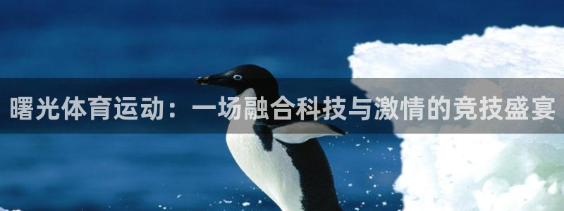 678体育知识