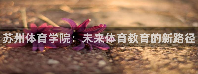 678体育官网下载