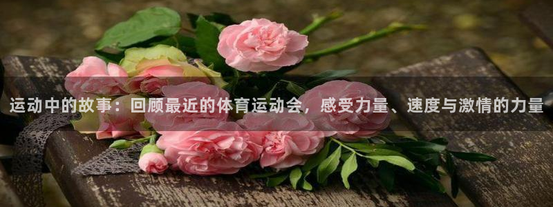 皇冠678体育