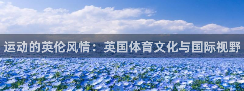 678体育app