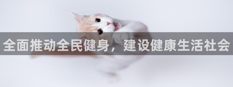 678体育app