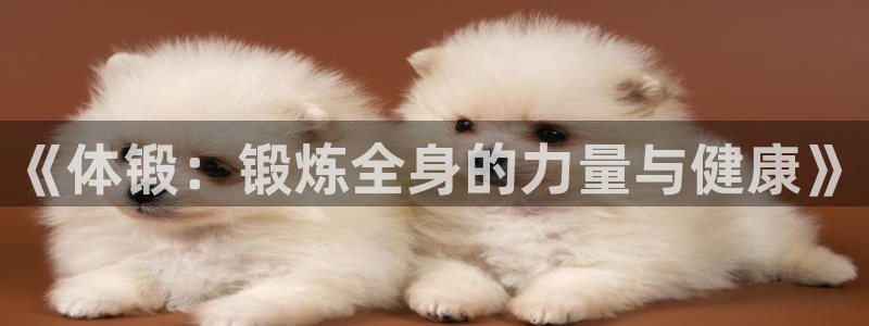 678体育官网下载