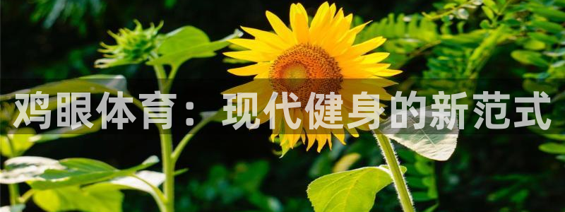 678体育官网下载