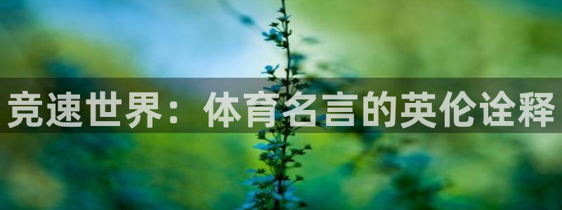 678体育官网