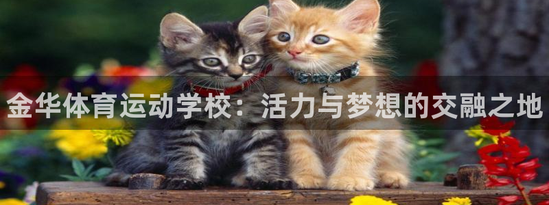 678体育官网