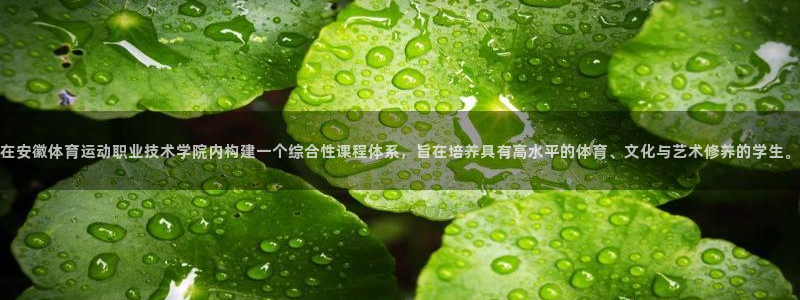 678体育官网下载